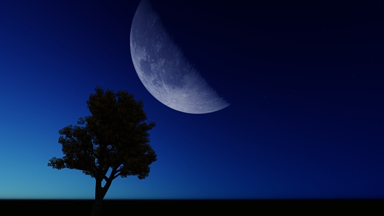 3D illustration of a tree on a full moon background. 3D rendering (2)