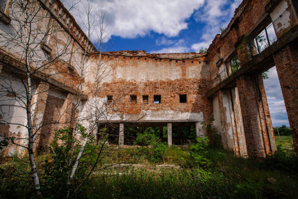 istock Old abandoned ruined industrial building overgrown by plants and trees 1407397049