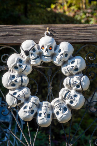 Skulls in a circle stock photo