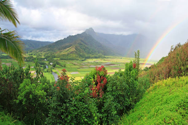 Panorama of rainbow and mist moving over majestic and colorful mountains and valleys in Hawaii. Photographed in Waimea Canyon, Kauai, Hawaii.