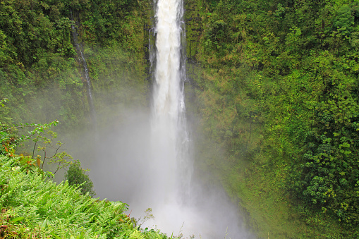 Rushing Waterfall. Akaka Falls on the Hamakua coast of the  Big Island of Hawaii.