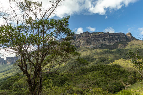 istock natural viewpoint in the Pati valley, Chapada Diamantina 1407410629