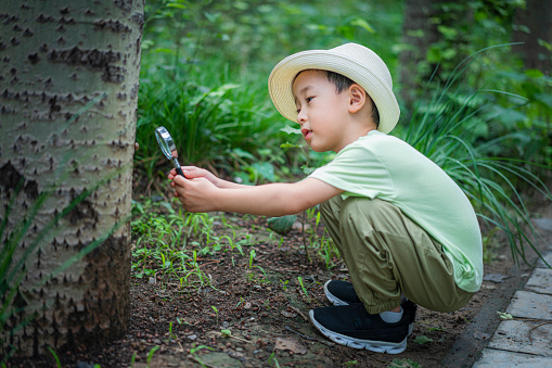Baby holding magnifying glass to observe trees