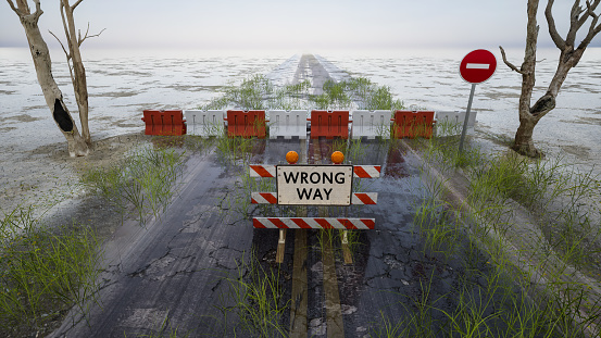Wrong Way sign in a straight flooded road , 3D illustration.