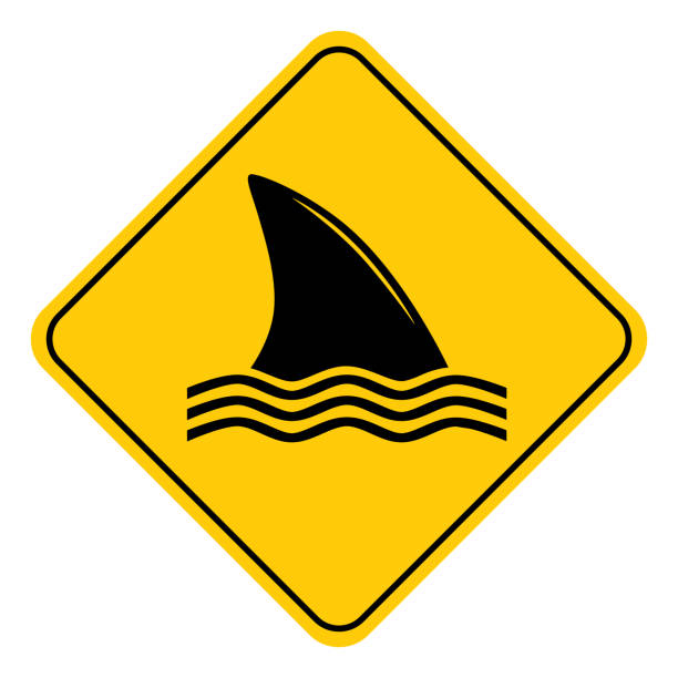 Shark Fin Road Sign Vector illustration of a black and gold colored shark fin road sign. tiger shark stock illustrations