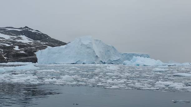 istock Icebergs in Cierva Cove Antarctica 1407433730