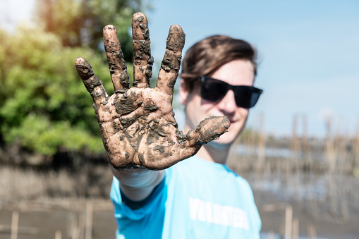 Hand very dirty  in wet mud volunteer planting tree in mangrove forest,volunteering, charity, people, ecology concept. reduce global warming