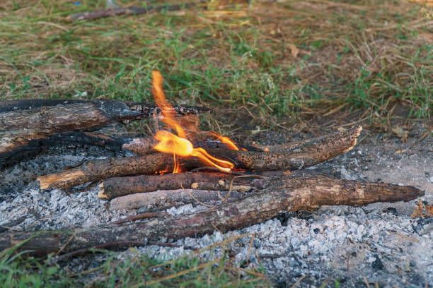 Small Fire Example 840+ Small Fire Bonfire Flame Stock Photos, Pictures & Royalty-Free ...