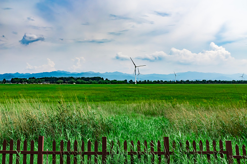 Large tracts of grass and wind turbines