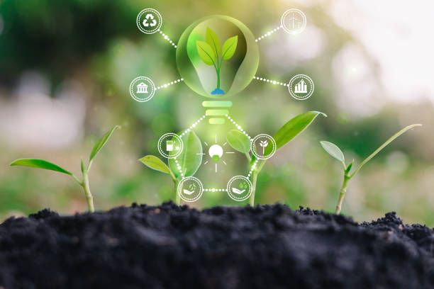 istock Light Bulb lamp saving energy ecology concept.  light green sprout small plant seedling inside electricity green energy power banner 1407439390