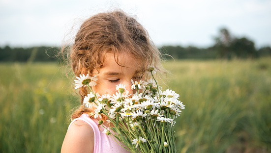 Portrait cute child girl with a bouquet of chamomile in summer on a green natural background. Happy child, hidden face, no face, covered with flowers. Copy space. Authenticity, rural life, eco-friendly