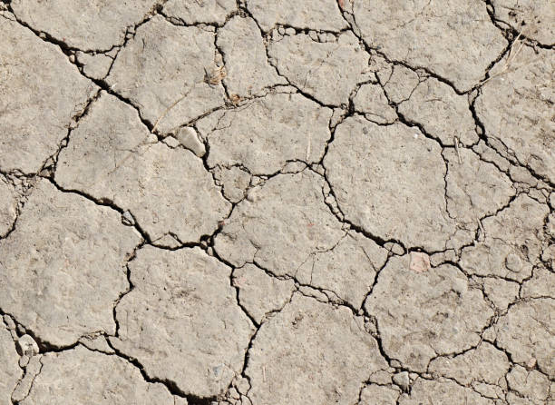 Arid cracked ground. Global warming and climate change concept. stock photo