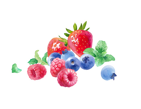 Watercolor illustration of 3 fresh berries. A collection of raspberries, strawberries, blueberries and mint. (Vector. Layout can be changed)