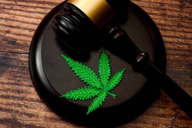 Legal weed, decriminalized pot or felony conviction for possession of a schedule one drug concept theme with a marijuana leaf and a wooden gavel isolated on wood background Legal weed, decriminalized pot or felony conviction for possession of a schedule one drug concept theme with a marijuana leaf and a wooden gavel isolated on wood background legalization stock pictures, royalty-free photos & images