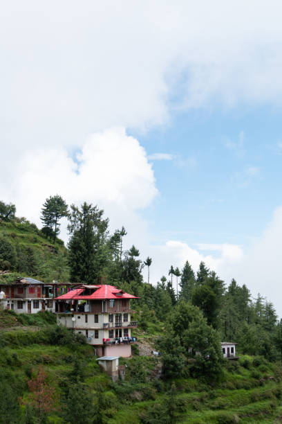 istock Shimla cityscape aerial view 1407446141
