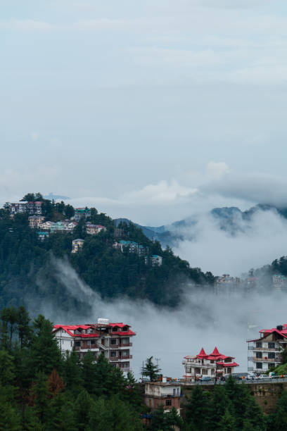 istock Shimla cityscape aerial view 1407446143