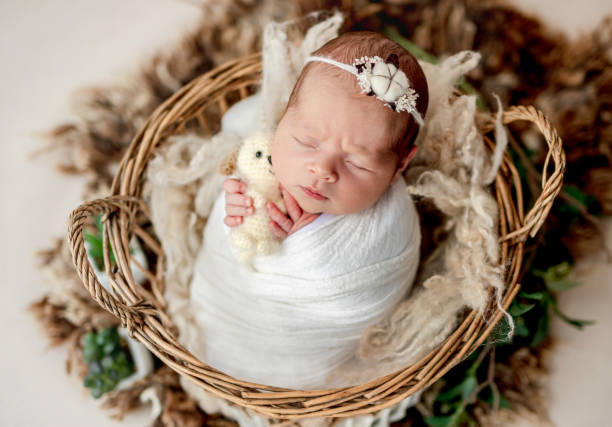istock Cute newborn sleeping in basket 1407447340