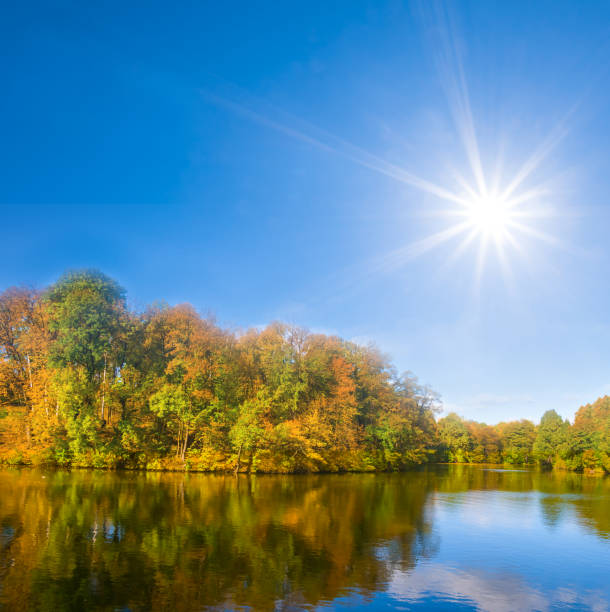 quiet river with forest on coast at autumn sunny day