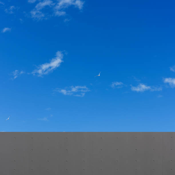 Close-up of dark surrounding concrete wall against blue sky with seagulls.
