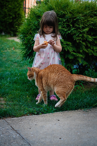 The little girl is eating a pastry in the garden, and her cat is cuddling with her.