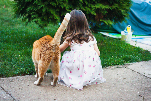 The child is crouching and her pet is curious and wants to see everything the girl is doing.