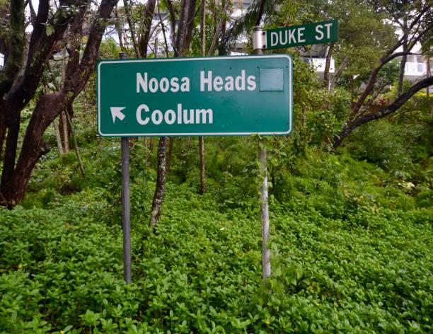 Road sign in lush green forest roadside in Sunshine Beach in Queensland showing the direction arrow to Noosa Heads and Coolum Beach stock photo