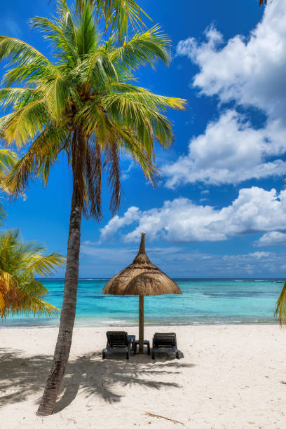 Paradise beach in tropical island stock photo