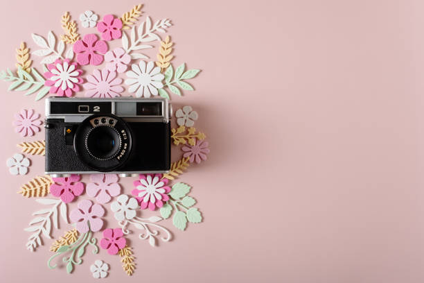 istock The retro camera is decorated with flowers and leaves. 1407457336