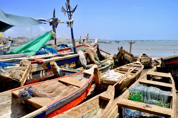 łodzie rybackie zacumowane na plaży na tle czystego błękitnego nieba - rowboat fishing africa fishing industry zdjęcia i obrazy z banku zdjęć