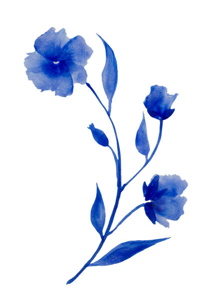 ilustraciones, imágenes clip art, dibujos animados e iconos de stock de imagen abstracta de flores de orquídeas azules sobre fondo blanco. - ink spread