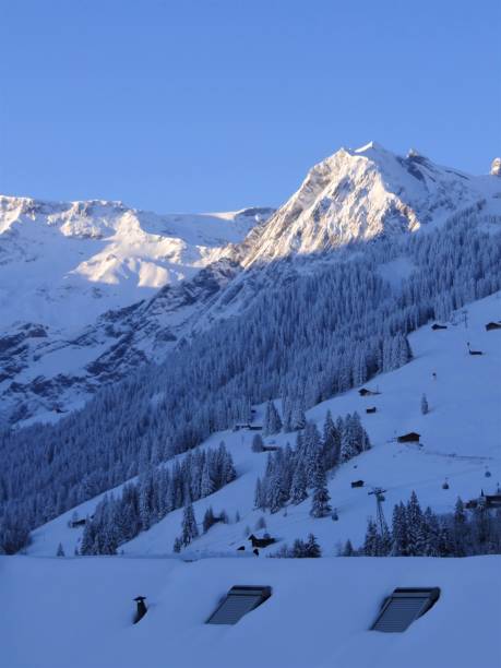 istock Swiss Alps winter wonderland 1407472569
