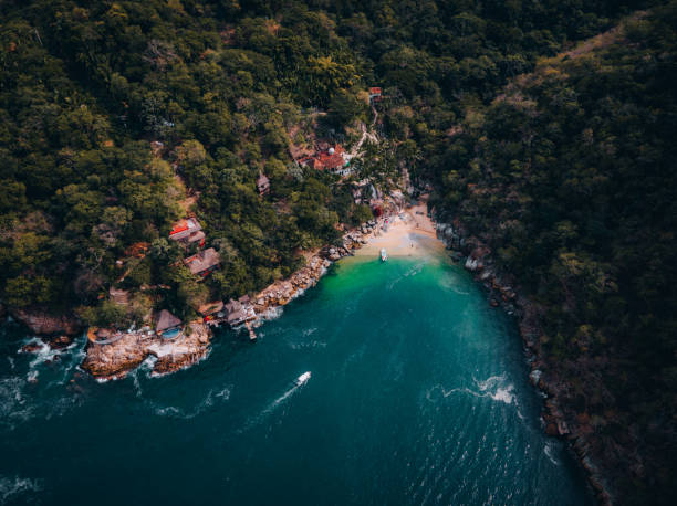 istock Tropical forest around Colomitos Beach on Boca de Tomatlan, Jalisco. 1407476162