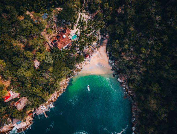 istock Tropical forest around Colomitos Beach on Boca de Tomatlan, Jalisco. 1407476408