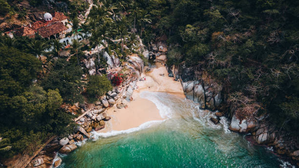 istock A beautiful secluded beach surrounded by tropical forest 1407479185