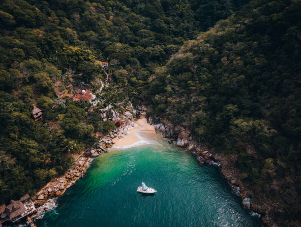 Tropical forest around Colomitos Beach on Boca de Tomatlan, Jalisco.