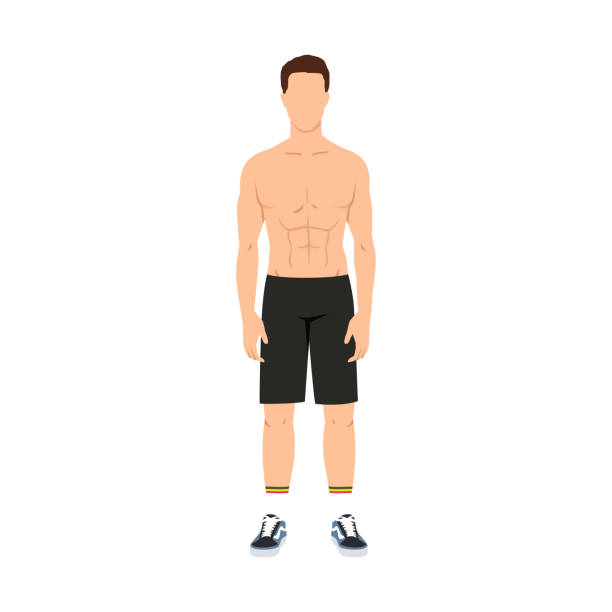 Fitness Model. Trainer. The man standing working out. Athletic man. Fitness Model. Trainer. The man standing working out. Athletic man. Fitness muscular body isolated on white background flat vector illustration. Power athletic man athletic trainer stock illustrations