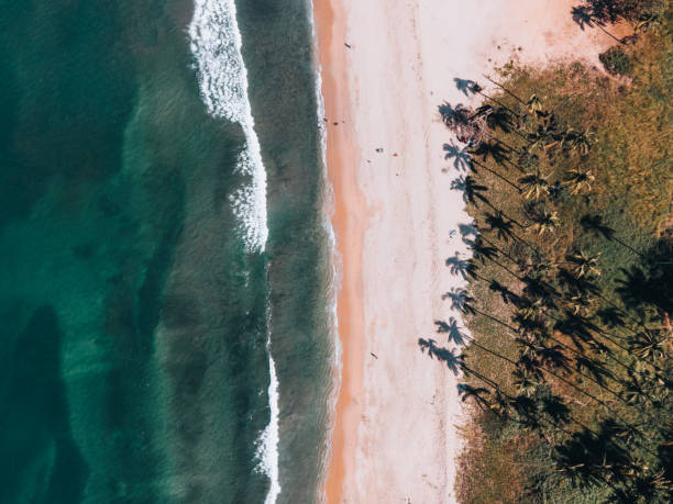istock Ocean waves splashing on the sandy beach 1407481583