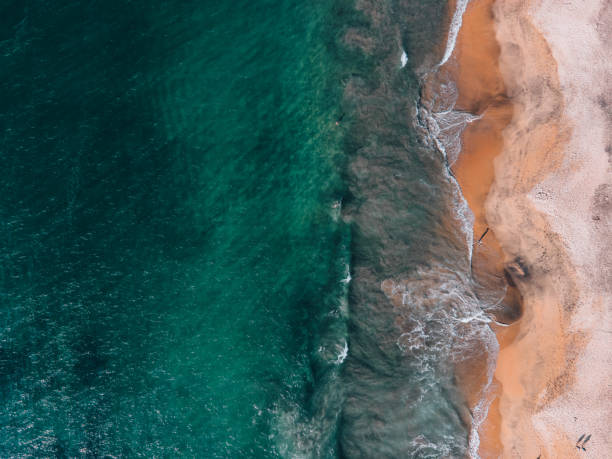 istock Colors Of The Pacific Coast 1407486128