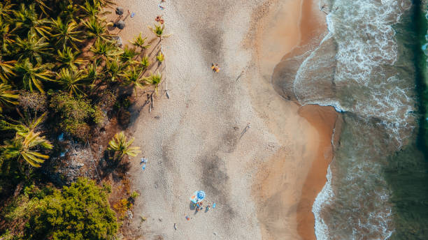 istock Aerial view of beach waves splashing sandy beach 1407486740
