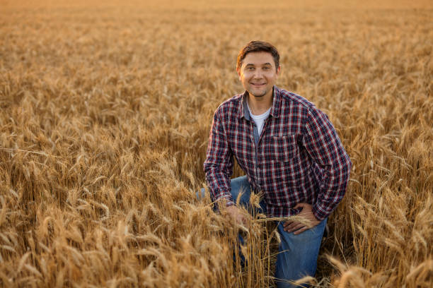 istock Satisfied young farmer with a bunch of ripe wheat 1407487121
