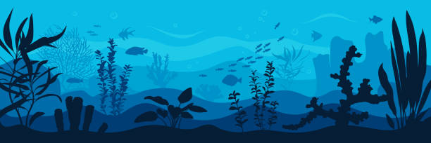 ilustrações de stock, clip art, desenhos animados e ícones de vector ocean world. exotic seascape with fish, seaweeds and corals. aquatic ecosystem. illustration of underwater life. - starting at the bottom