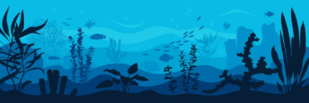 Vector ocean world. Exotic seascape with fish, seaweeds and corals. Aquatic ecosystem. Illustration of underwater life. Undersea bottom.
Image for your design projects coral sea stock illustrations
