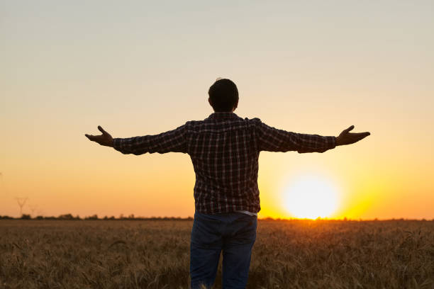 istock Man grateful for the harvest raised his hands up in the field 1407487183