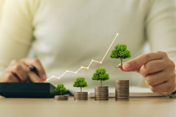 istock Business accountant woman holding a coin with a tree that grows and a tree that grows on a pile of money. The idea of maximizing the profit from the business investment. Saving money and investment. 1407488333