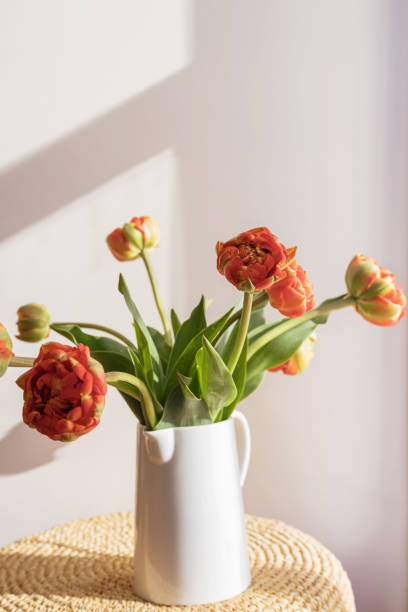 flores de tulipán rojo anaranjado con tallos y hojas verdes en una jarra de cerámica blanca sobre una pared blanca de sombra clara y fondo de ventana. papel pintado creativo de botánica floral. tarjeta de felicitación creativa mínima. - growth tulip cultivated three objects fotografías e imágenes de stock