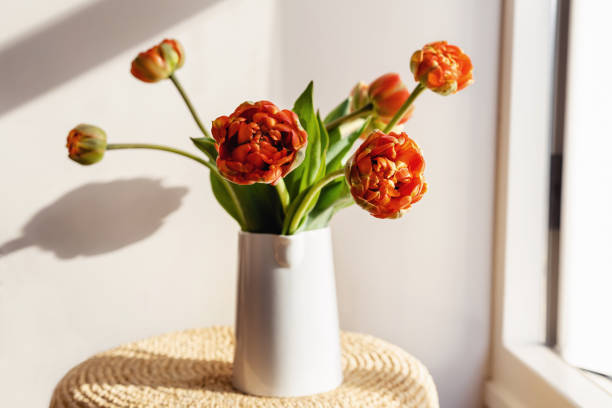 flores de tulipán rojo anaranjado con tallos y hojas verdes en una jarra de cerámica blanca sobre una pared blanca de sombra clara y fondo de ventana. papel pintado creativo de botánica floral. tarjeta de felicitación creativa mínima. - growth tulip cultivated three objects fotografías e imágenes de stock