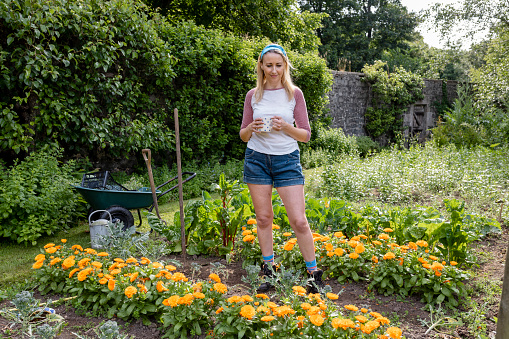 A wide angle view of a female farmer stood proudly in her flower garden on her farm in Alnwick in Northumberland in the North East of England.