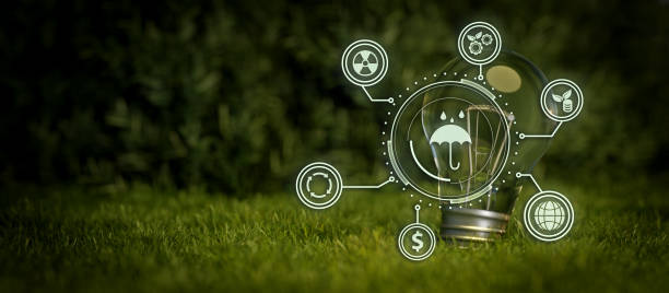 istock Eco Friendly ESG Lightbulb Modernization Environmental Social Governance Conservation And CSR Policy. Earth Globe With Forest Background Illustrative Banner Background 3D Render 1407490534