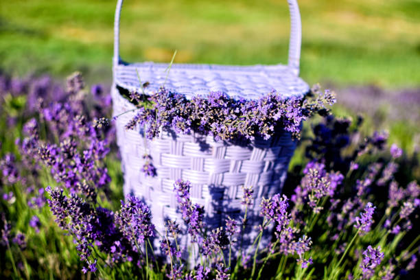 Basket with flowers