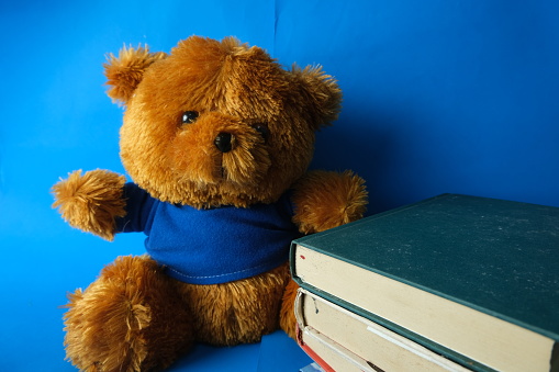 Teddy bear with books on a blue background